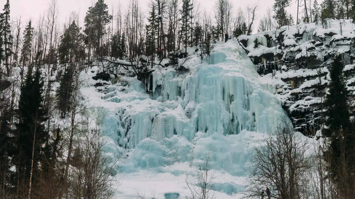 Reindeer standing on the snowy forest road to Korouoma Canyon on a frozen waterfalls hike from Rovaniemi